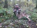 blacktail deer during the rut