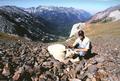 B&C Mountain Goat