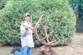 Jame's Bull