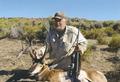 Ray's Pronghorn