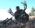 2007- Buck