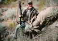 Doug's Buck