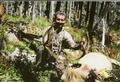 Allan's Buck