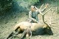 Jevon's Bull