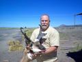 John Gander Pronghorn