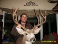 once in a lifetime 9x7 mule deer