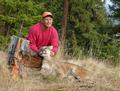 Large male cougar taken in 2004