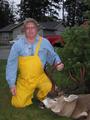 October 15, 2007