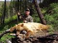 Eugene's Bear