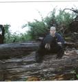 Belen's Bear