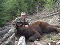 Roy's Bear