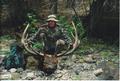 Josh's Bull