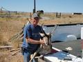 Bill's Pronghorn