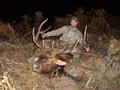 2008 Archery oregon roosevelt bull