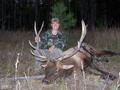 First Bull with Bow