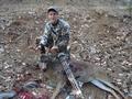 2008 Archery Blacktail