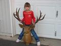 Non typical Mule deer