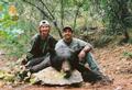 2008 Archery Black Bear