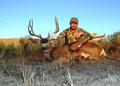 Traditional Archery Buck