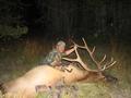 2008 Archery Harvest a huge bodied 5X6
