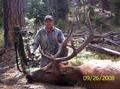 2008 5x6 Rocky Mountain Elk