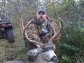 20 inch blacktail