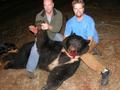 Dana's Bear