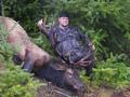 Tim's Bull