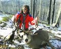 First mule deer