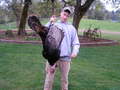 mossberg did the job