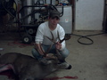 5x5 blacktail