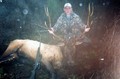 Rifle 6x6 Roosevelt Bull, Coos county