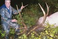 Rich's Rocky Mountain Elk