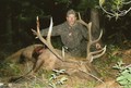 Jerry's Rocky Mountain Elk