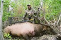 Josh's Rocky Mountain Elk