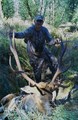 Jason's Roosevelt Elk