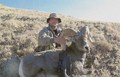 Dan's California Bighorn Sheep