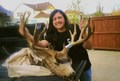 Amber's Youth Non Typical Mule Deer