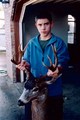 Nice blacktail