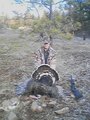 Big Turkey