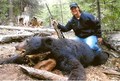 Carla's Black Bear