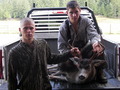 18 inch forked horn blacktail