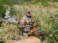 first archery elk