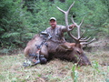 Awesome Archery Season