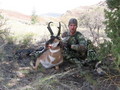 13.5in pronhorn