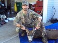 Nice 3 point Blacktail.