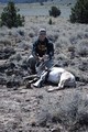Opening Morning