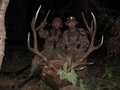 Bull of a Life Time!