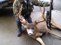OSP Has It Now