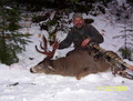 Tree stand Blacky